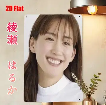 아야세 하루카/양철 간판
