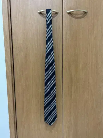 Ermenegildo Zegna 넥타이 네이비 스트라이프