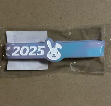 LOVE IT! ROCK 락 2025 실리콘 밴드