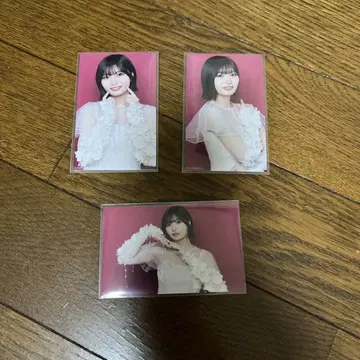 나카니시 아루노 육교 미니 포토