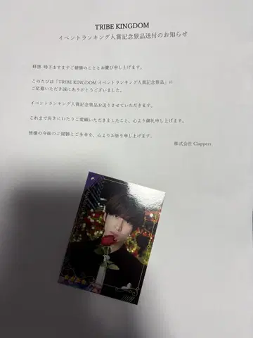 토라킨 리얼 카드 하세가와 마코토