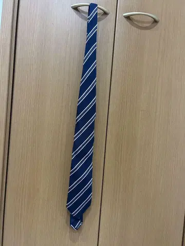 Ermenegildo Zegna 넥타이 네이비 스트라이프