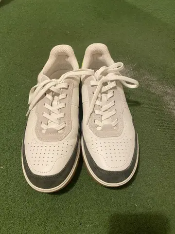 에코 남성용 25cm 스니커즈 거의 새상품