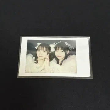 우메다 미유 사쿠라바 하루카 폴라로이드 사진