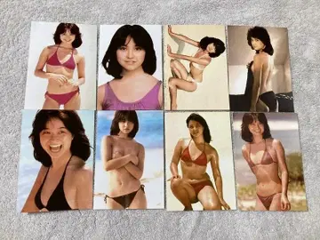 이시카와 히토미 쇼와 아이돌 L판 사진 50장 저렴이