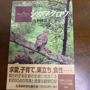 시마올빼미