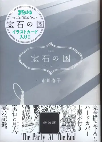 코단샤 애프터눈 KC 이치카와 하루코 보석의 나라 특장판 12