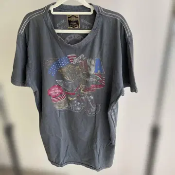 Harley-Davidson Born to Ride USA 티셔츠