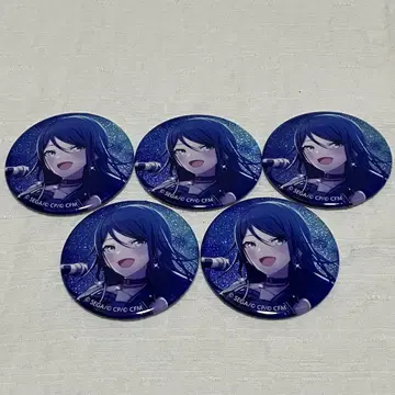 프로젝트 세카이 프로세카 캔뱃지 vol.3 A 호시노 이치카 이치카