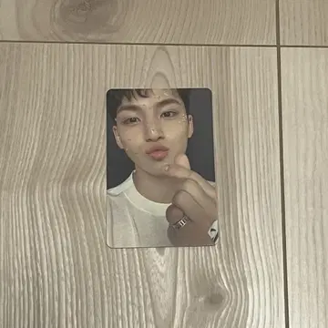 흩날리는 꽃잎 민규