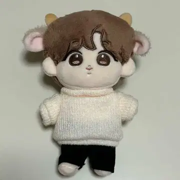 BTS 진 마스터  18cm