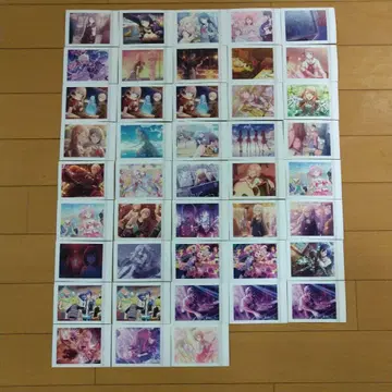 프로세카 파샤코레 묶음 판매