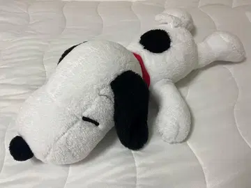 유니버설 스튜디오 재팬 스누피 봉제 인형