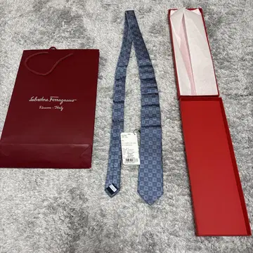 Salvatore Ferragamo 넥타이