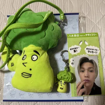 야기코리 세트