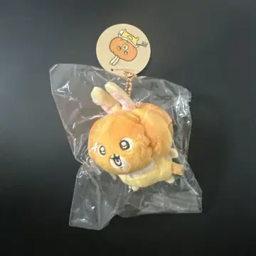 치이카와 (먼작귀) 토끼 호박