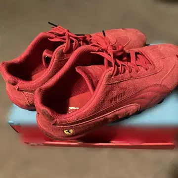 PUMA 페라리 콜라보 신발