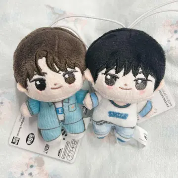 호와누이 시뉴 도훈