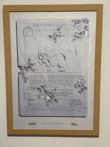 다니엘 아샴 리자몽 포스터