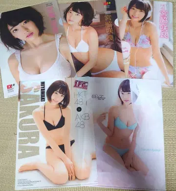 미야와키 사쿠라 클리어 파일