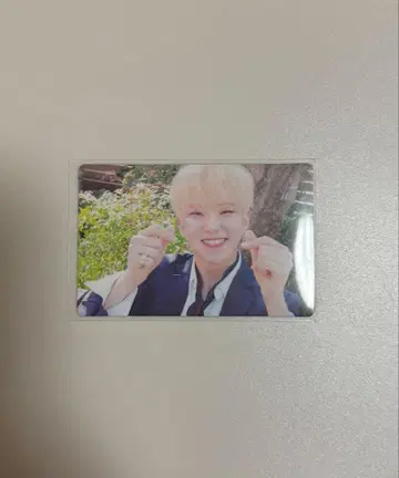 SEVENTEEN 호시 teen age 트레이딩 카드