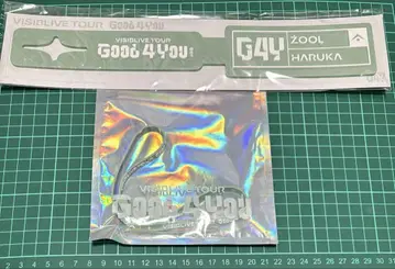 아이나나 러기지 택 러버 팔찌 G4Y 하루카