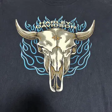 harley davidson turquoise flame 90s XL