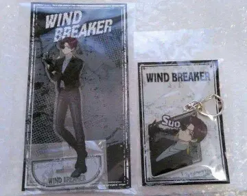 WIND BREAKER 소호 하야토 세트