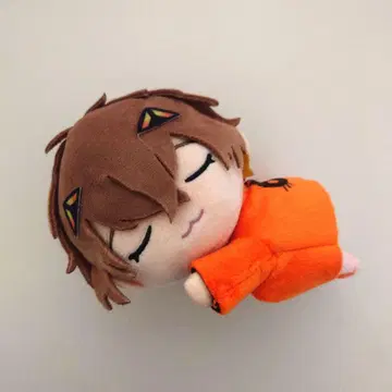 알반 녹스 니지누이 Sleep