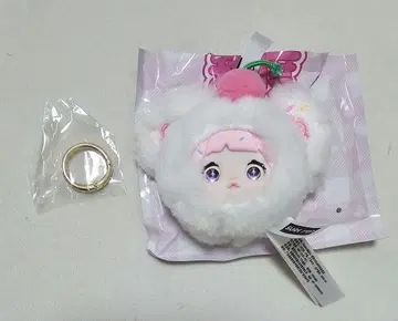 Nommi 당도 100% sweetness 시리즈