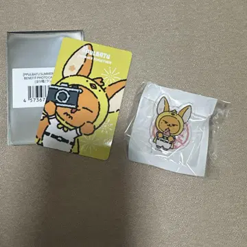 풀파투 popup 팬춘 txt