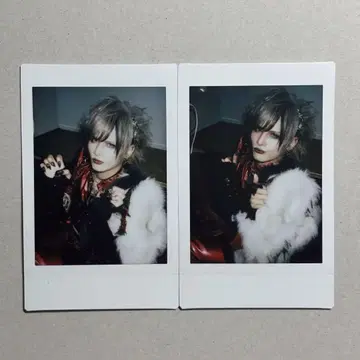 Royz 체키 스바루 씨