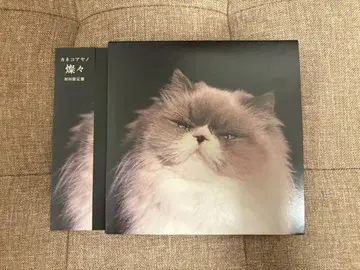 카네코 아야노/ 찬란 초회 한정판 DVD 포함