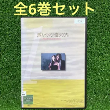 DVD 사랑한다고 말해줘 토요카와 에츠시/토키와 타카코 드라마