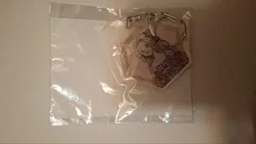 를르슈 나나리 아크릴 키링 오케스트라