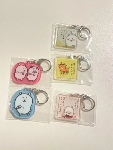 농담곰 아크릴 키링 나가노의 곰 묶음 판매
