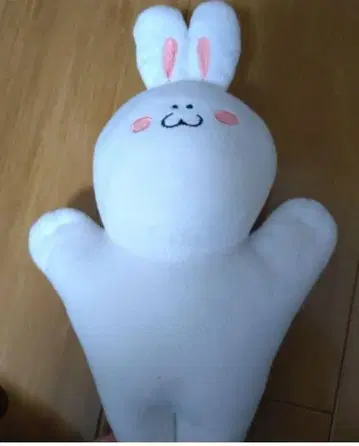 와타나베 마유 무치치 봉제 인형