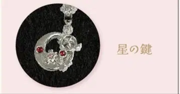 카드캡터 사쿠라 25주년 목걸이 02. 별의 열쇠