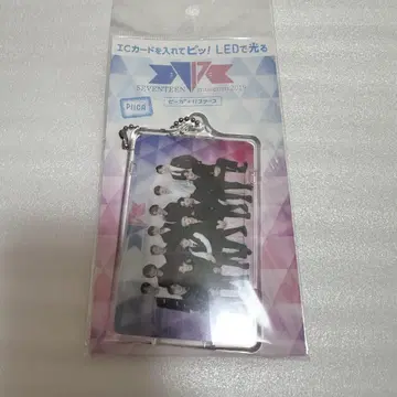 SEVENTEEN museum PIICA 피카 단체