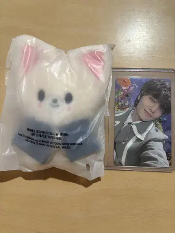 Stray Kids 스키즈 skzoo 10cm 인형 폭시니