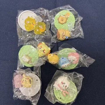 치이카와 초코 서프 6개 세트 묶음 판매 시크릿 포함