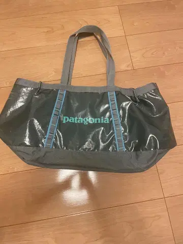파타고니아 블랙홀 토트 25L ABALONE BLUE