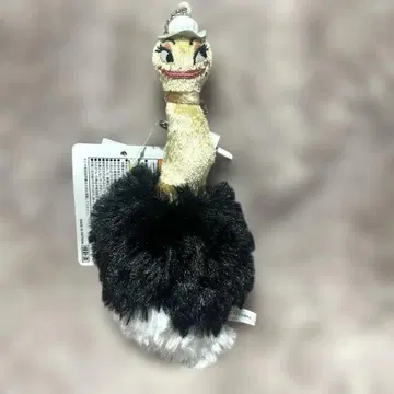 도쿄 디즈니랜드 미녀와 야수 피피 인형 배지 택 포함