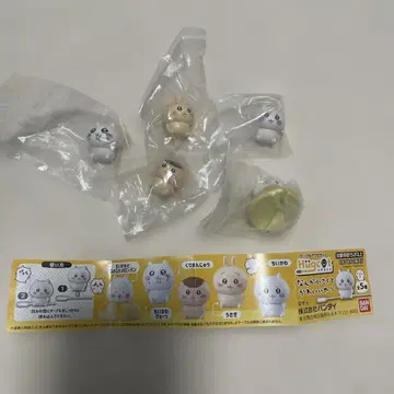 치이카와 허그코트 초대 세트 새상품