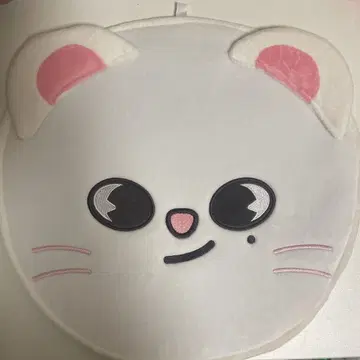 현진 부채 커버