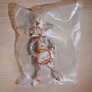 루피즈 피규어 원피스 니카 샹크스 수배서