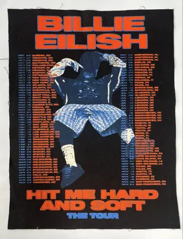 Billie Eilish 천 포스터 2025 빌리 아이리쉬