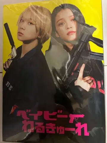 베이비 발키리 팜플렛
