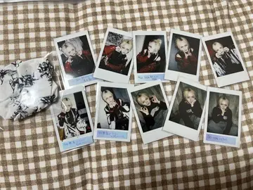 나방과 나비 레이 씨 폴라로이드 10장 스크런치 묶음 판매