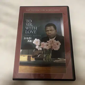 언제나 마음속에 태양을 DVD